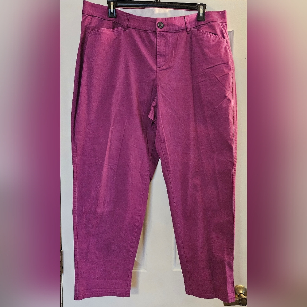 Lane Bryant Fuchsia Boyfriend Cut Pants